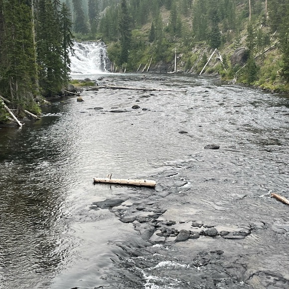 Meet your Posher, Helen Brianna - Picture 15 of 17